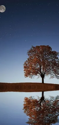 This live wallpaper for your phone showcases a breathtaking image of a tall tree set against a navy blue sky with a full moon in the background