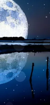 This phone live wallpaper features a beautiful full moon rising over a serene body of water