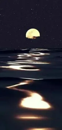 This phone live wallpaper showcases a stunning digital rendering of a full moon rising over rippling water, surrounding by a surreal aesthetic inspired by Tumblr