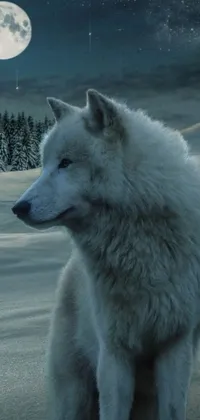 This phone live wallpaper presents a captivating image of a white wolf in a wintery landscape