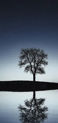 This live wallpaper is a stunning scene of a lone tree reflecting on water against a starlit sky