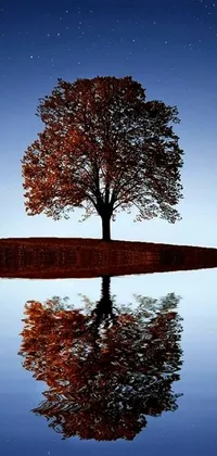 This beautiful phone live wallpaper features a photorealistic image of a lone tree reflecting in the water, surrounded by autumn night colors and symmetry