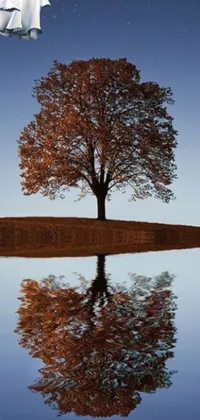 This phone live wallpaper showcases a serene tree by a body of water