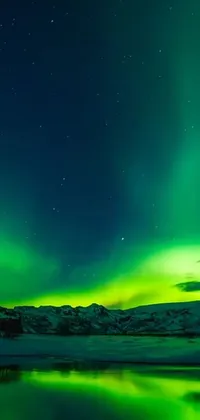 Experience the awe-inspiring northern lights with this live wallpaper for your phone