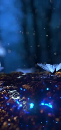 This stunning phone live wallpaper features a group of beautiful butterflies perched atop a rock, set against an ethereal blue lighting