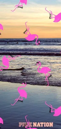 This vibrant live wallpaper features a stunning flock of pink flamingos soaring over a beautiful beach at dusk