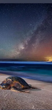 This phone live wallpaper features a breathtaking digital art of a large turtle resting on a sandy beach with a mesmerizing night sky backdrop