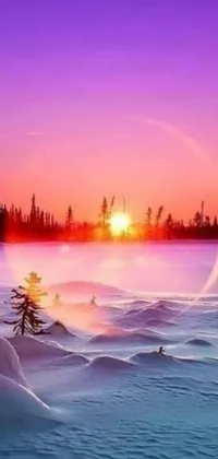 This live wallpaper depicts a sunset over a snow-covered lake with a boreal forest and mountain range in the background