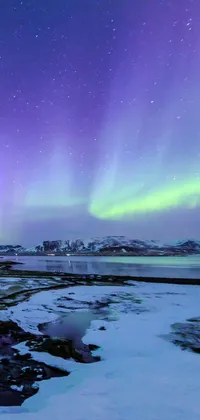 This live wallpaper features a snow-covered mountain next to a body of water, set against a dramatic aurora borealis and a glowing temple in the distance