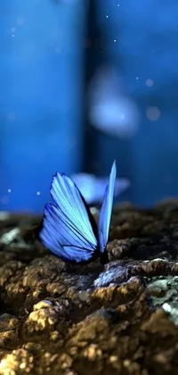 This live wallpaper for a phone showcases a beautiful butterfly resting on a rock in stunning digital art