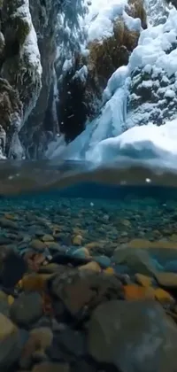 Nature Water Snow Live Wallpaper