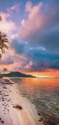 This phone live wallpaper showcases two palm trees and a sandy beach with a cloudy sunset in the background