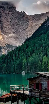 This phone live wallpaper showcases the awe-inspiring natural beauty of mountains, a lake, and surrounding forest