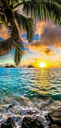 Experience the serene beauty of tropical paradise with a vibrant phone live wallpaper featuring a stunning sunset over the ocean