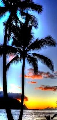 This stunning live wallpaper brings a tropical vibe to your phone's screen
