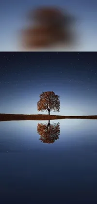 Nature Water Tree Live Wallpaper