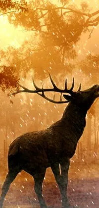 This phone live wallpaper portrays a majestic deer standing in the snow, under heavy rain during early evening