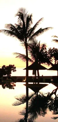 Experience the beauty of the tropics through your phone with this luxurious live wallpaper