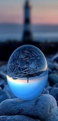 This stunning phone live wallpaper boasts a glass ball containing a frozen ice phoenix egg resting on a rocks pile
