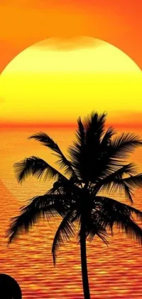 This phone live wallpaper features a distinctive silhouette of a palm tree against a beautiful sunset, creating a breathtaking digital art by Bob Singer