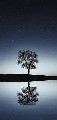 This phone live wallpaper features a serene, starry backdrop with a tall tree reaching towards the sky, centered on the horizon