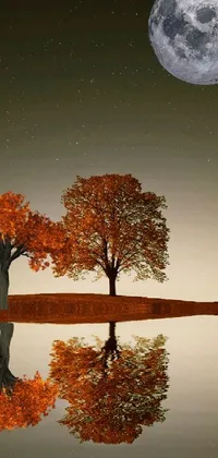 Nature Water Tree Live Wallpaper