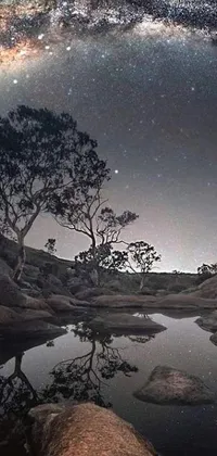This live wallpaper brings the beauty of a natural landscape right to your phone