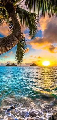 Looking for a breathtaking live wallpaper for your phone? Check out this stunning image of a tropical beach! With a palm tree swaying in the breeze and beautiful islands in the background, this wallpaper will transport you to a serene and tranquil world