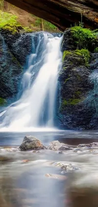 This phone live wallpaper showcases a breathtaking waterfall flowing through a lush green forest