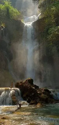 Experience the unbridled beauty of a lush waterfall with this mesmerizing live phone wallpaper
