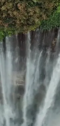 Enhance the beauty of your phone with this stunning live wallpaper that features a magnificent waterfall in Indonesia