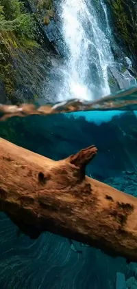 This underwater live phone wallpaper features a fallen tree next to a stunning waterfall
