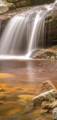 Decorate your phone screen with the beauty of a lush green forest and a small waterfall with this phone live wallpaper