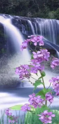 This phone live wallpaper depicts a lovely waterfall with lively purple flowers in the foreground