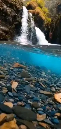 Immerse yourself in the beauty of nature with this stunning live wallpaper - a breathtaking waterfall in the midst of a winding river, surrounded by rocks and crystal clear blue water