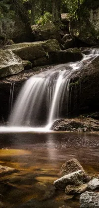 Enhance your phone display with a stunning live wallpaper featuring a small waterfall in the midst of a dense forest