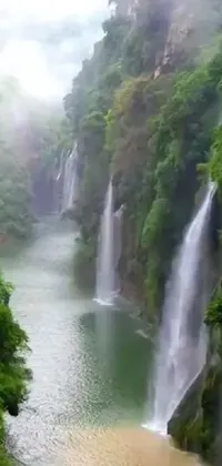 This phone live wallpaper showcases a lush green forest with a flowing river, waterfalls, and natural beauty