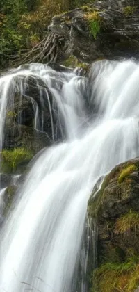 Experience the natural beauty of a serene waterfall in a lush green forest with this stunning live wallpaper