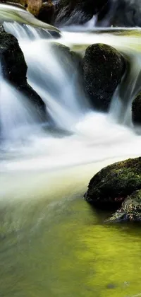 This phone live wallpaper depicts a forest stream flowing over moss-covered rocks