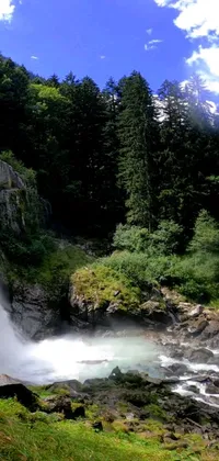 This phone live wallpaper showcases a stunning waterfall surrounded by lush greenery in a serene forest landscape