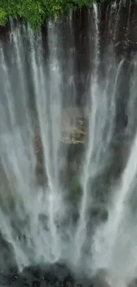 This stunning live phone wallpaper captures a group of people in front of a beautiful waterfall