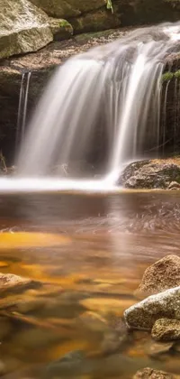 This live wallpaper features a mesmerizing small waterfall gently cascading over rocks in a lush forest setting