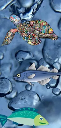Bring peace to your mobile phone with our stunning live wallpaper featuring a group of fish floating in clear blue water