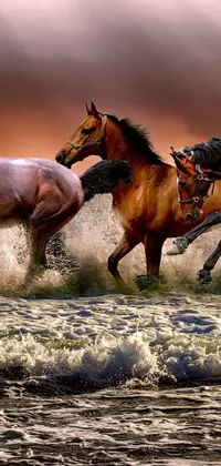 Transform your phone's display into a stunning scene with this live wallpaper featuring a herd of majestic horses galloping through a crystal-clear water body