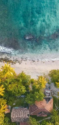 This phone live wallpaper showcases a stunning aerial view of a tropical beach surrounded by palm trees