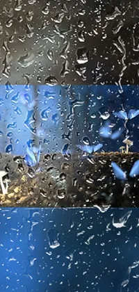 This phone live wallpaper features a beautiful rain scene with a flock of birds perched on a tree