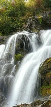 Nature Waterfall Spring Live Wallpaper