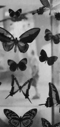 This phone live wallpaper features a mesmerizing black and white photograph of several butterflies in motion, gracefully displaying their intricate details and patterns
