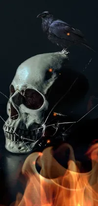 This phone wallpaper boasts an 8k high-resolution image of a skull with a bird perched atop it, featuring volumetric lighting that proves depth and richness of colour