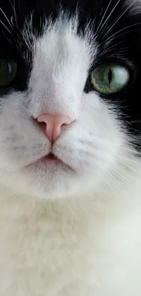This phone live wallpaper features a black and white female cat with green eyes